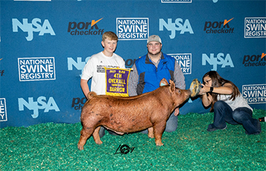 Upperhand Winners