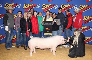 Upperhand Winners