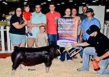 Upperhand Winners