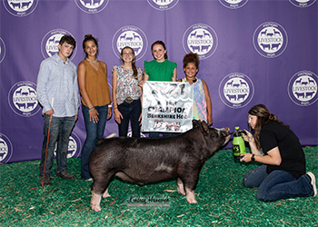 Upperhand Winners