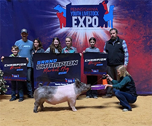 Upperhand Winners
