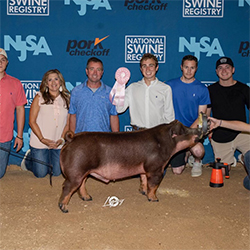 Upperhand Winners