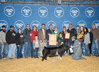 Upperhand Winners