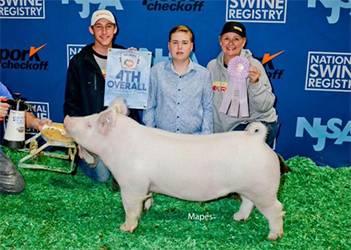 Upperhand Winners