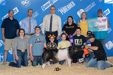 Upperhand Winners