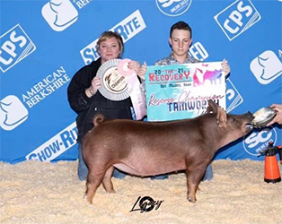 Upperhand Winners