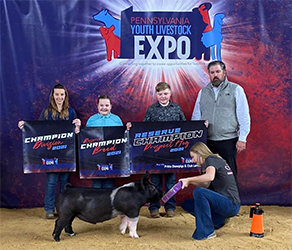 Upperhand Winners
