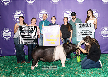 Upperhand Winners