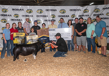 Upperhand Winners