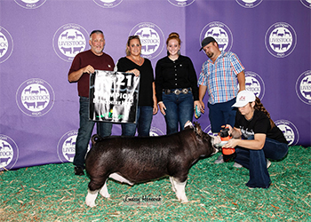 Upperhand Winners