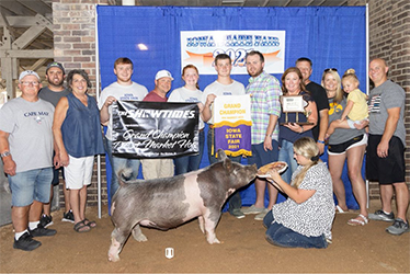 Upperhand Winners