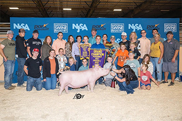 Upperhand Winners
