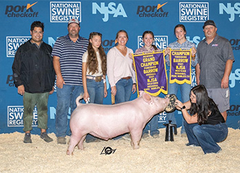 Upperhand Winners
