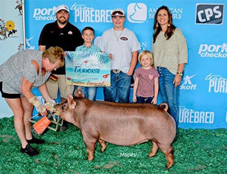 Upperhand Winners