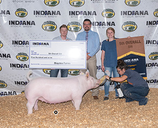 Upperhand Winners