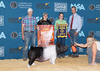 Upperhand Winners