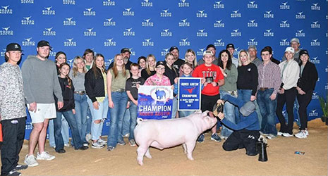 Upperhand Winners