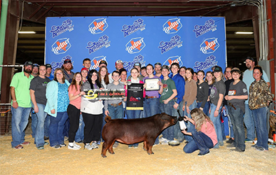 Upperhand Winners