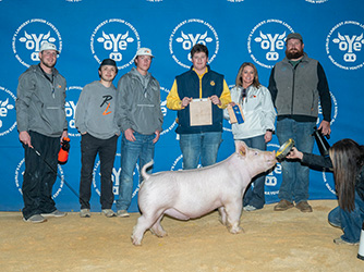 Upperhand Winners