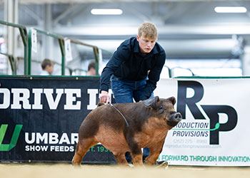 Upperhand Expo Winners