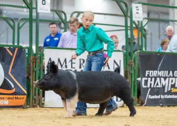 Upperhand Expo Winners