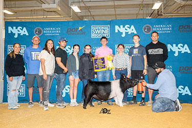 Upperhand Expo Winners