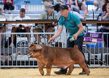 Upperhand Expo Winners