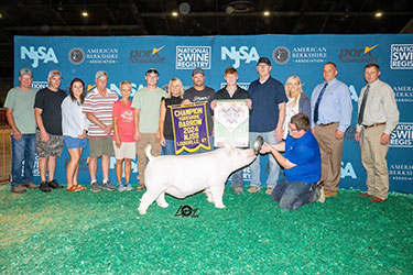 Upperhand Winners