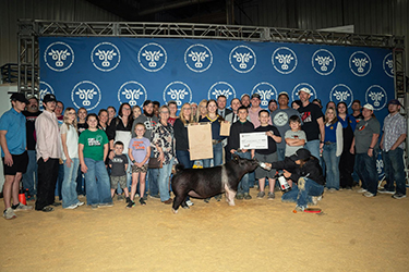 Upperhand Winners