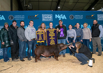 Upperhand Winners