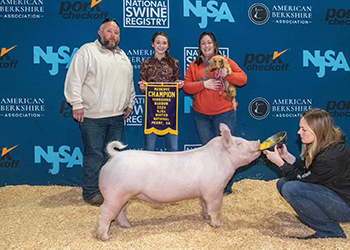 Upperhand Winners