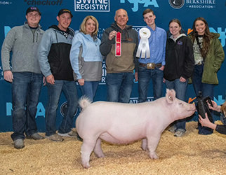 Upperhand Winners