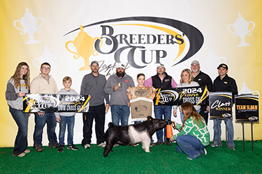 Upperhand Winners