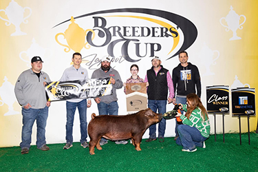 Upperhand Winners