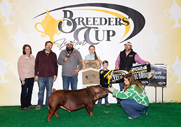 Upperhand Winners
