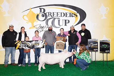 Upperhand Winners