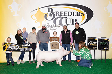 Upperhand Winners
