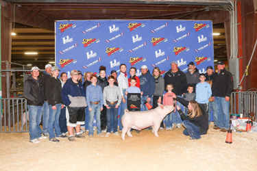 Upperhand Winners