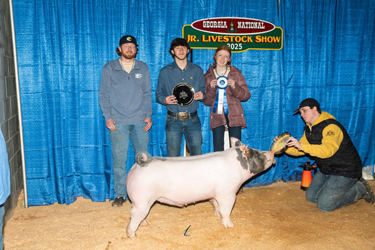 Upperhand Winners