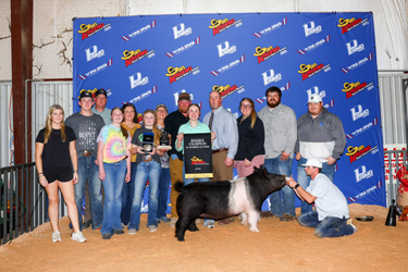 Upperhand Winners