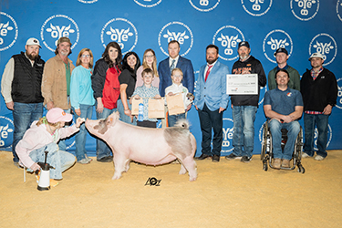 Upperhand Winners