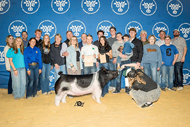Upperhand Winners