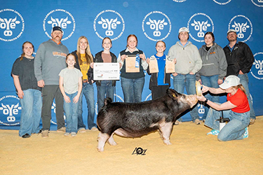 Upperhand Winners