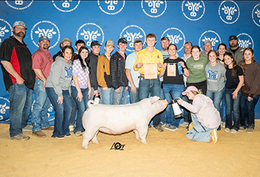Upperhand Winners