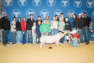Upperhand Winners