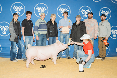 Upperhand Winners