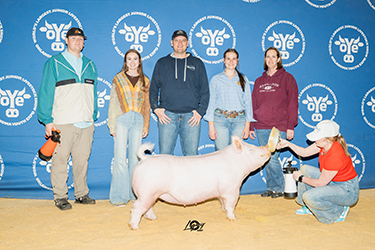 Upperhand Winners
