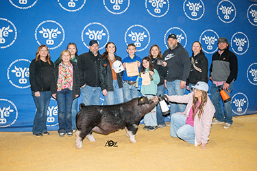 Upperhand Winners