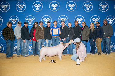 Upperhand Winners