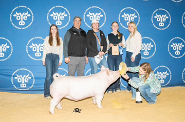 Upperhand Winners